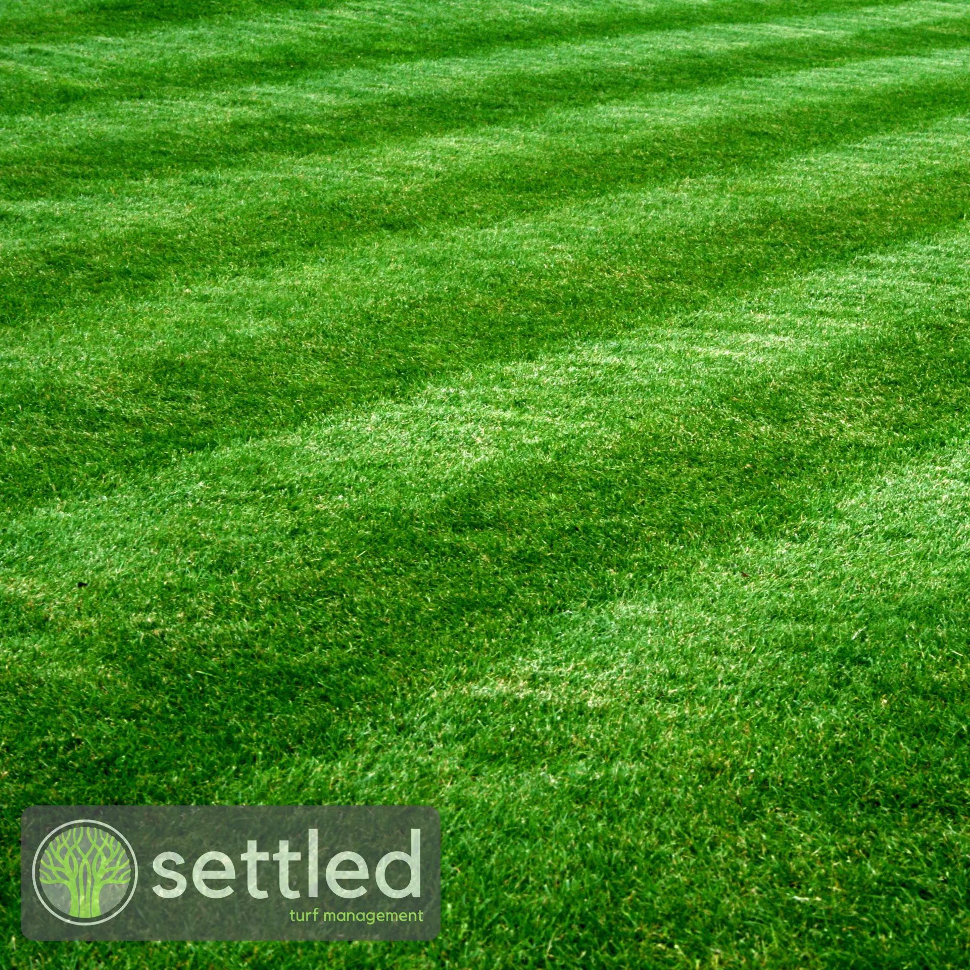 Fertiliser treatment on a lawn